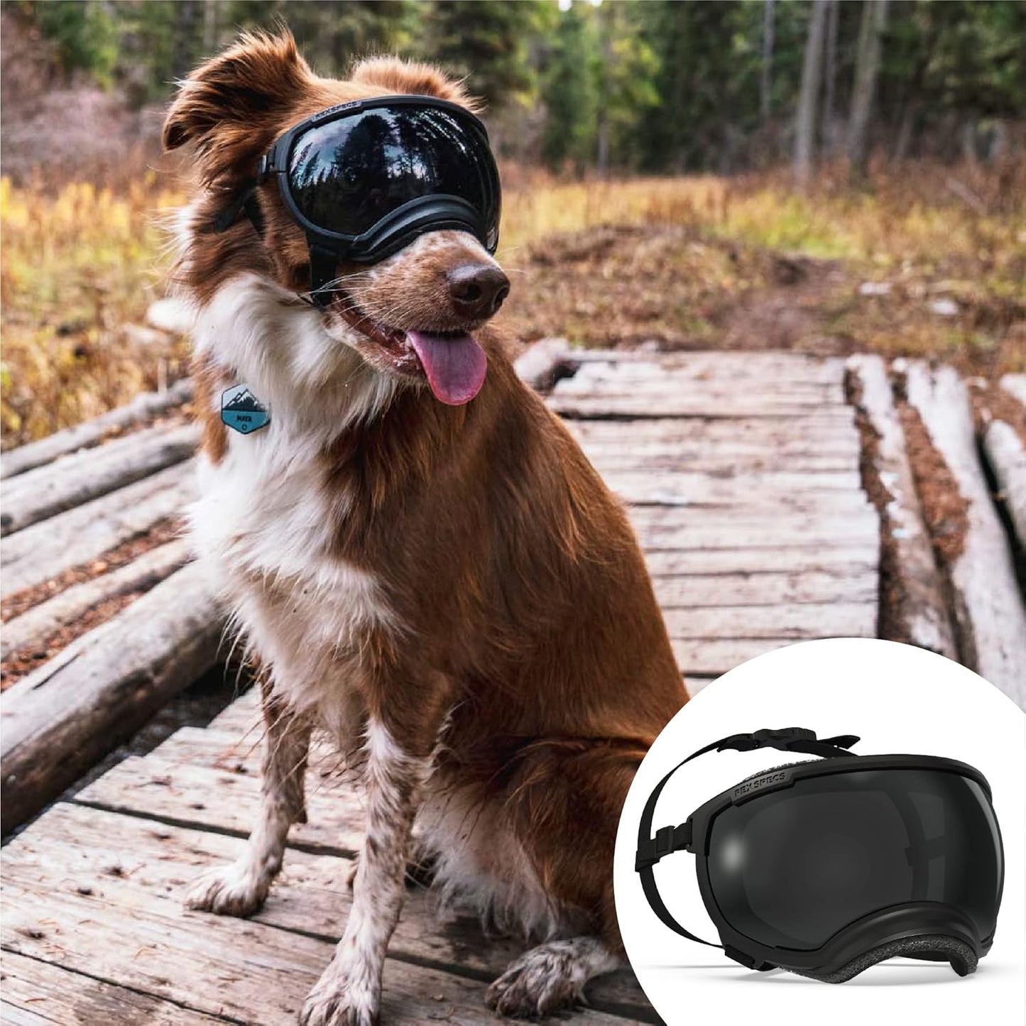 Rex Specs V2 Dog Goggles for Large Dogs - Black Color