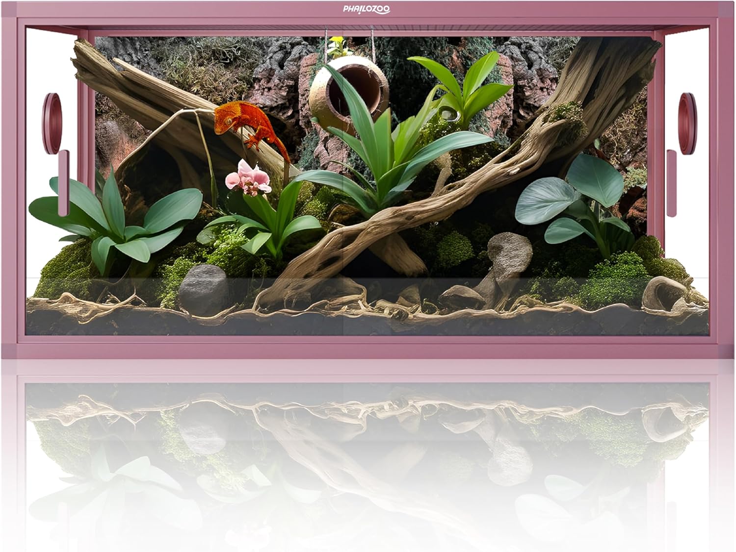 50 Gallon Bearded Dragon Tank for Easy Maintenance & Ventilation