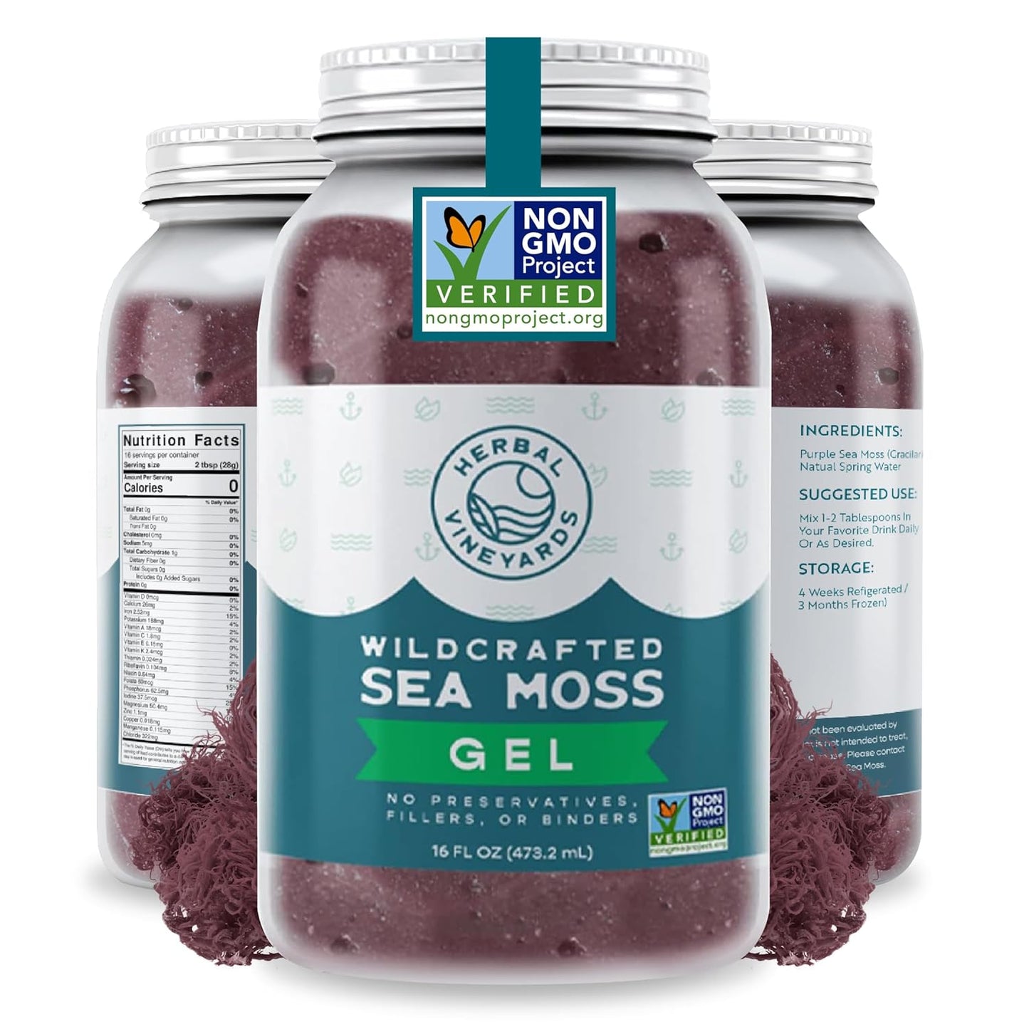 Wildcrafted Irish Purple Sea Moss Gel for Natural Vitality