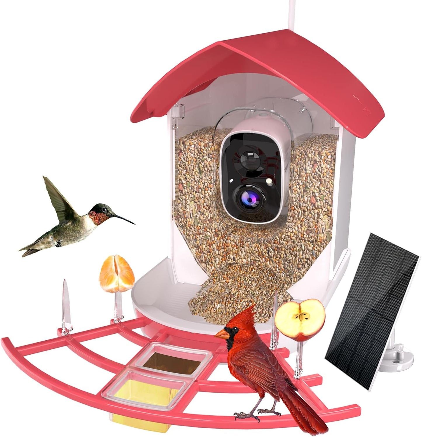 AI Bird Feeder Cam: Solar-powered, Waterproof, Cloud Storage - Birfedlot