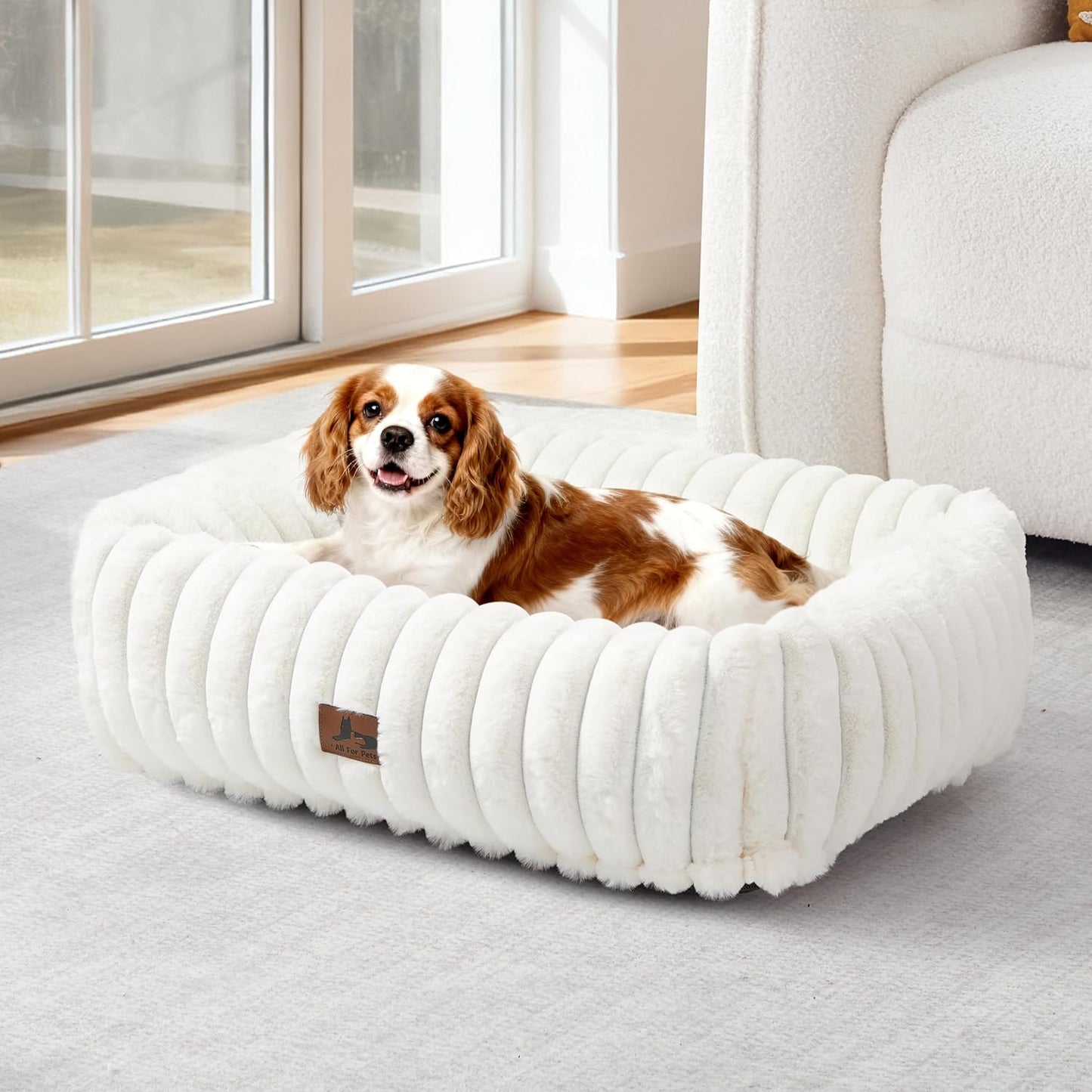 Orthopedic Dog Bed for Small Medium Dogs - Cozy and Supportive