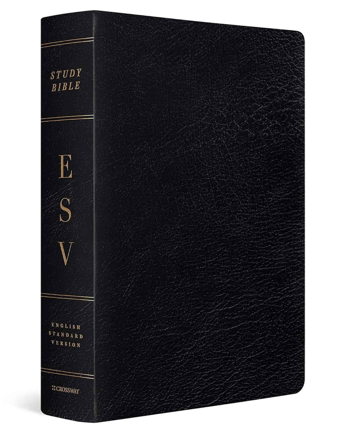 ESV Study Bible Large Print Genuine Leather Black Review