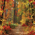 LYWYGG 8X8FT Autumn Scenery Deciduous Background for Photos