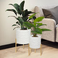 ARNIS Modern Planter Pots Set of 2 - Mid-Century Metal Planters