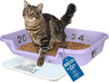 KittyGoHere Senior Cat Litter Box - Low Entrance, Large Comfort