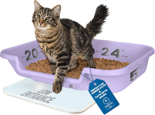 KittyGoHere Senior Cat Litter Box for Comfort and Ease