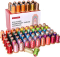 Richword Selected 800M 80 Colors Embroidery Thread Set - Beginner