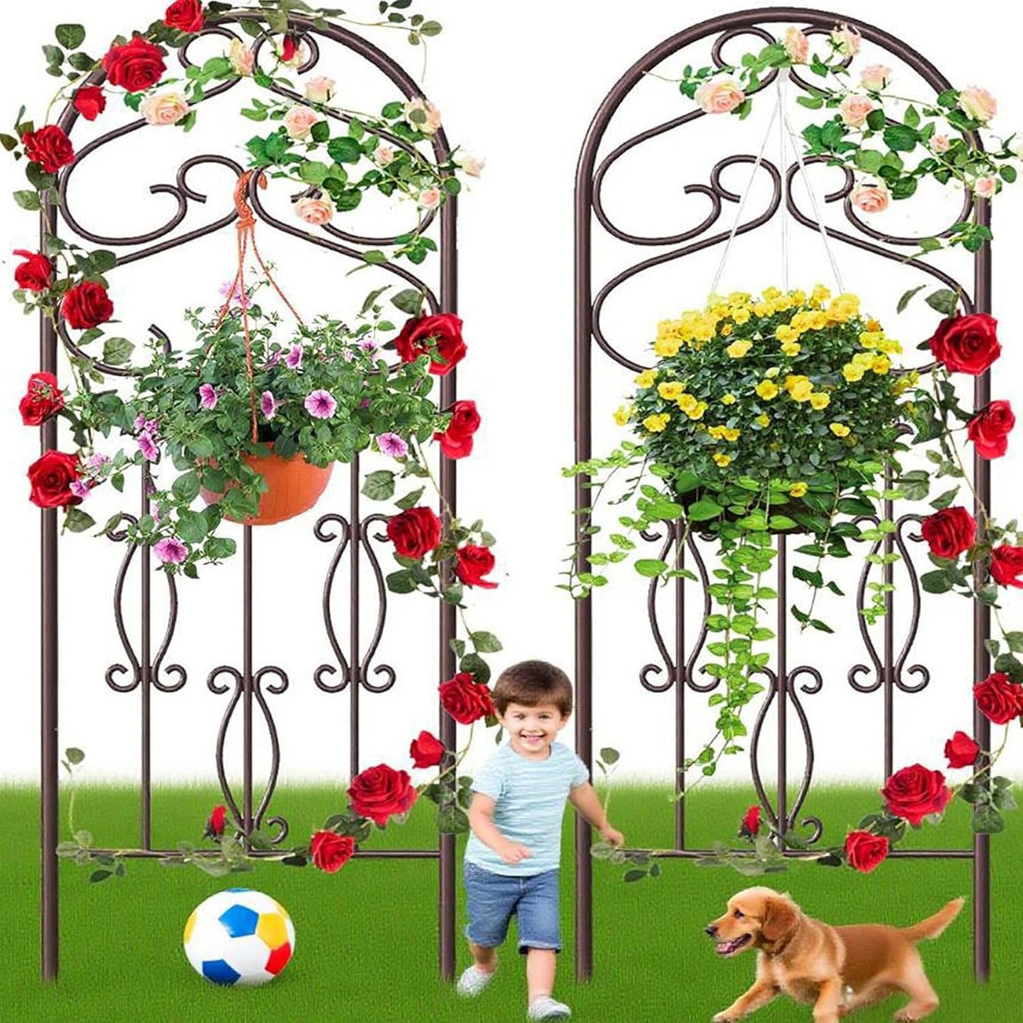 60in x 18in Garden Trellis for Climbing Plants - Durable Metal Design