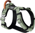 Premium Explorer Y-Shaped Dog Harness - Durable, Padded Fit