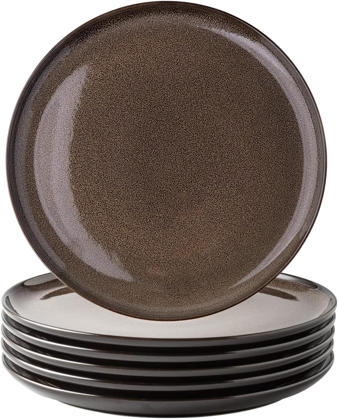 LERATIO Ceramic Dinner Plates Set of 6, 10.5 Inch Stylish Dishes