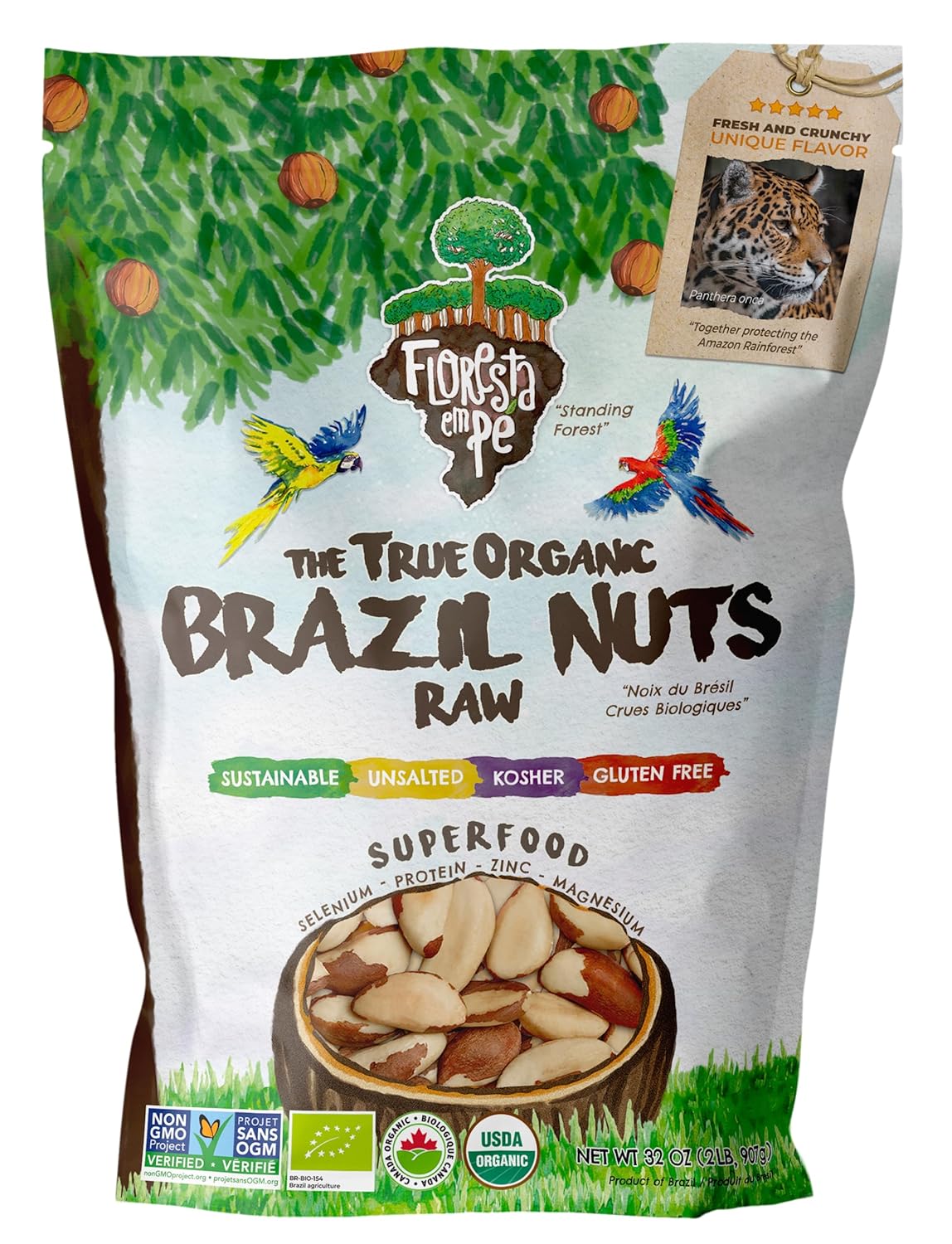 Organic Brazil Nuts from Rainforest - Healthy Snack Option