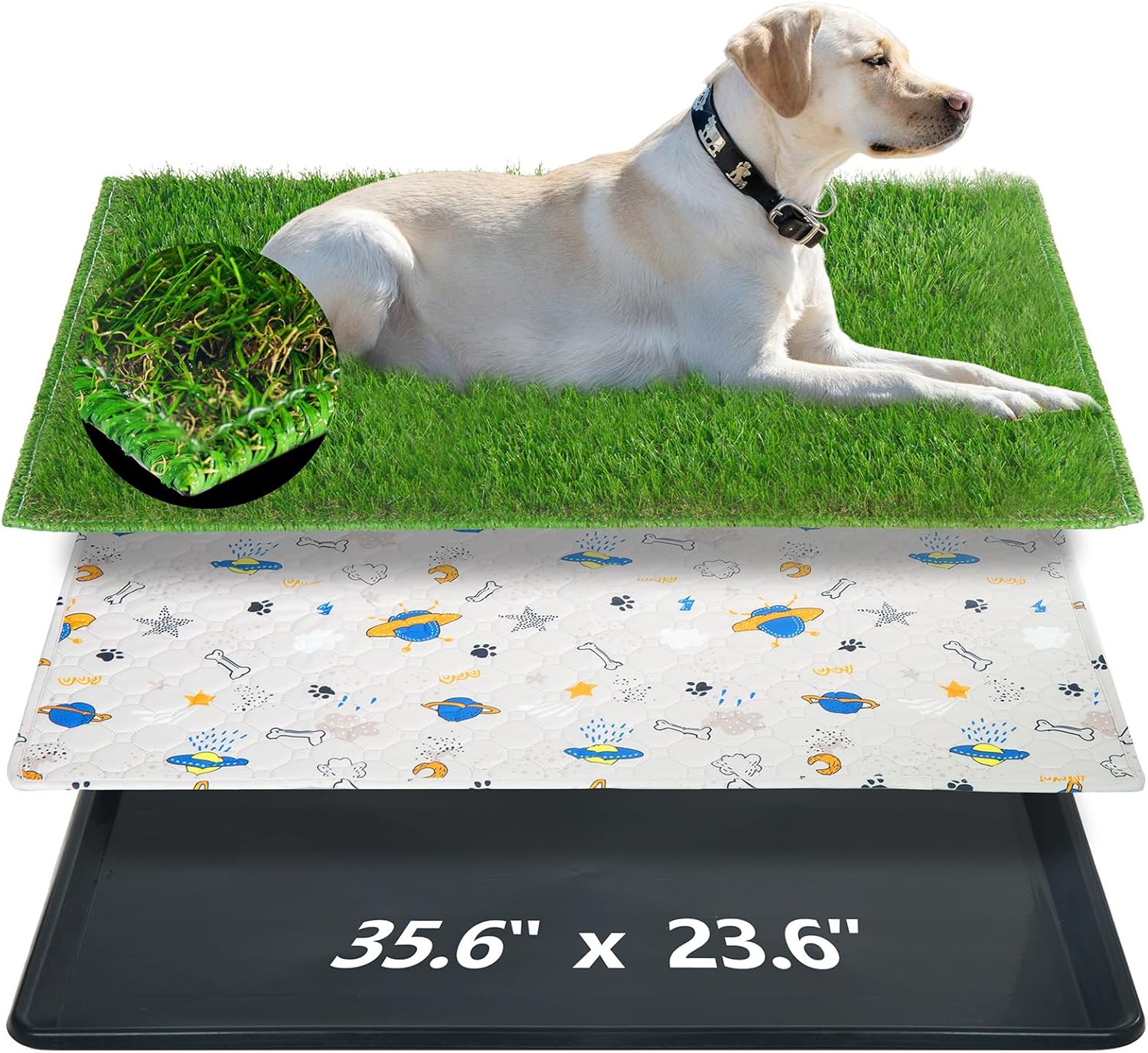 Reusable Dog Loo System for Easy Indoor and Outdoor Potty Training