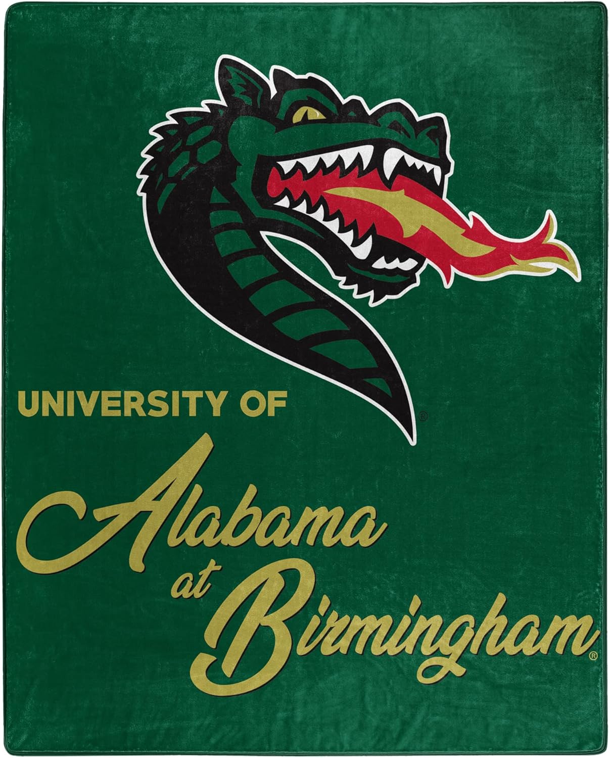 Northwest NCAA Unisex-Adult Raschel Throw Blanket for Fans
