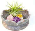 Lotus Carved Stone Bowl with Crystals and Air Plant - Mindful Decor