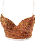 Women's Bustier Crop Top Mesh Corset Top for Club Party Wear