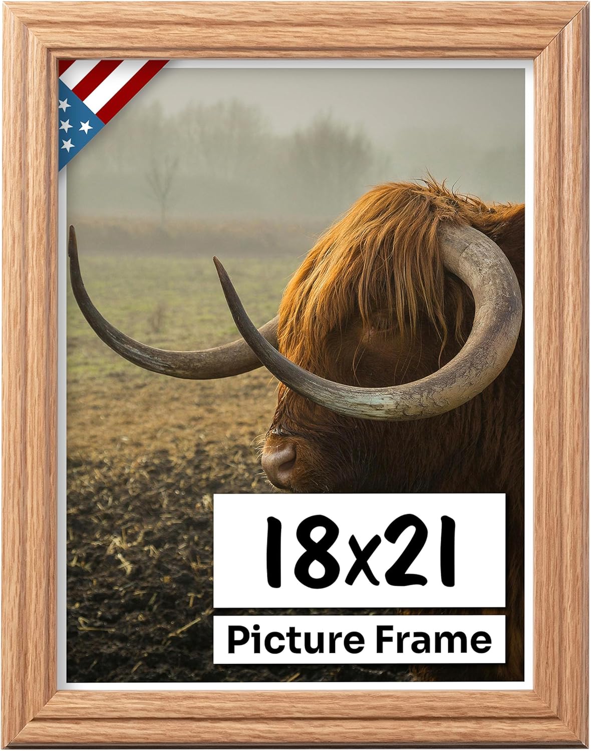 Oak 18x21 Picture Frame with UV-Blocking Plexiglass for Art