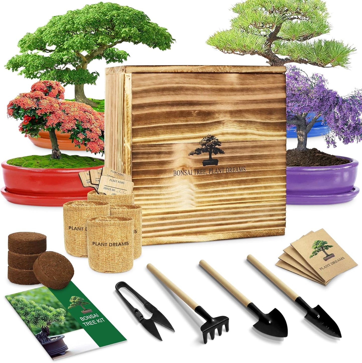 Bonsai Tree Starter Kit for Beginners - Unique Gardening Gift