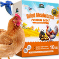 Dried Mealworms 10LB - High Protein Poultry & Wild Bird Feed