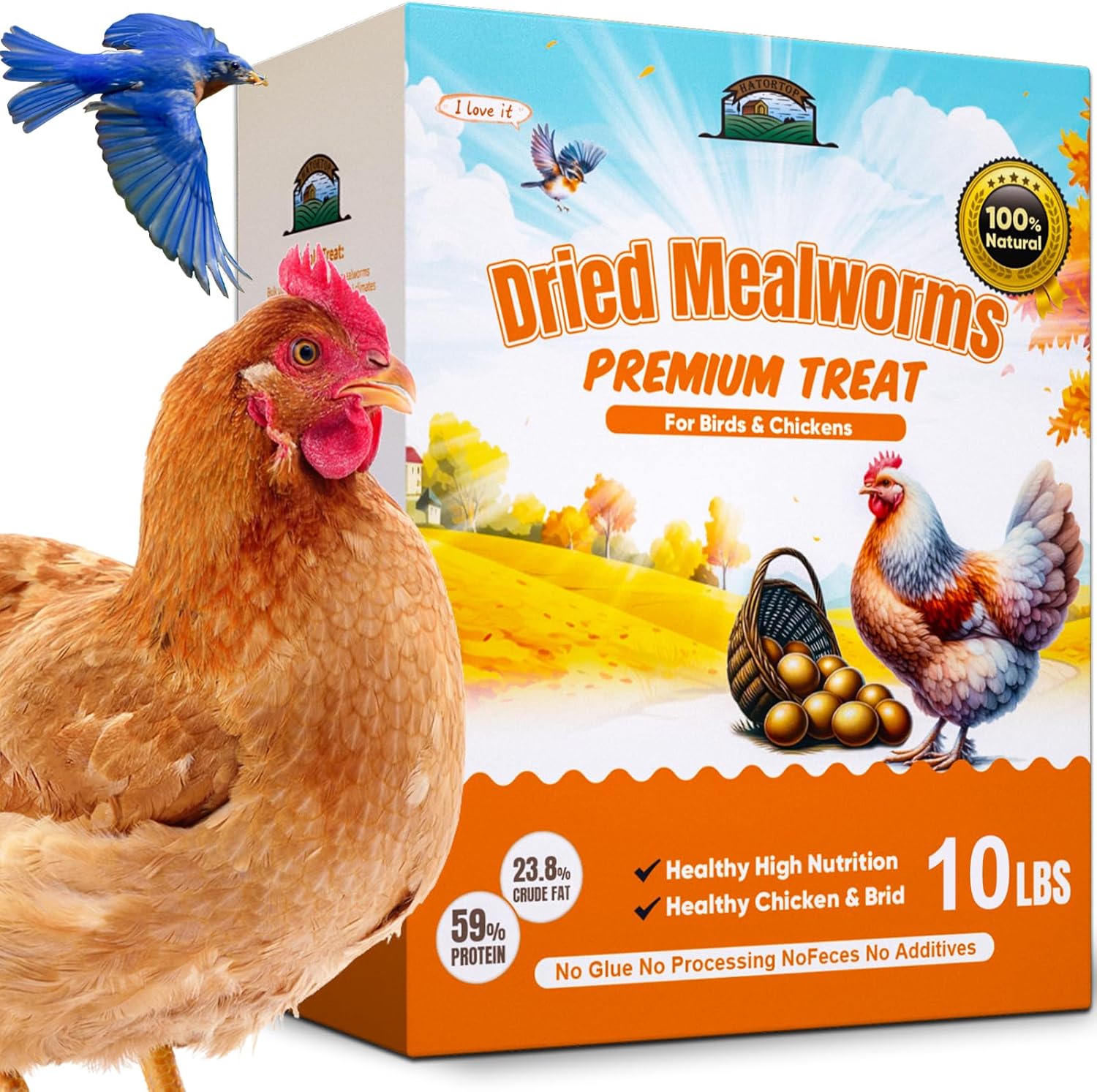 Dried Mealworms 10LB - Non-GMO Chicken & Bird Protein Treats