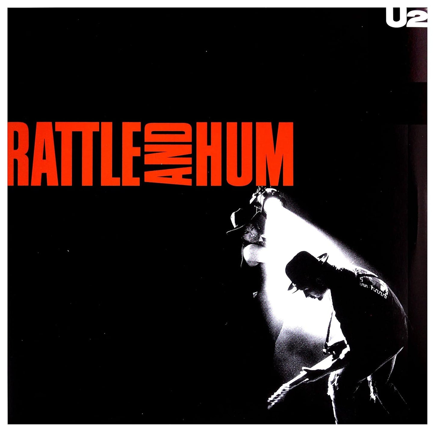 Rattle and Hum: A Unique Musical Experience for All Ages