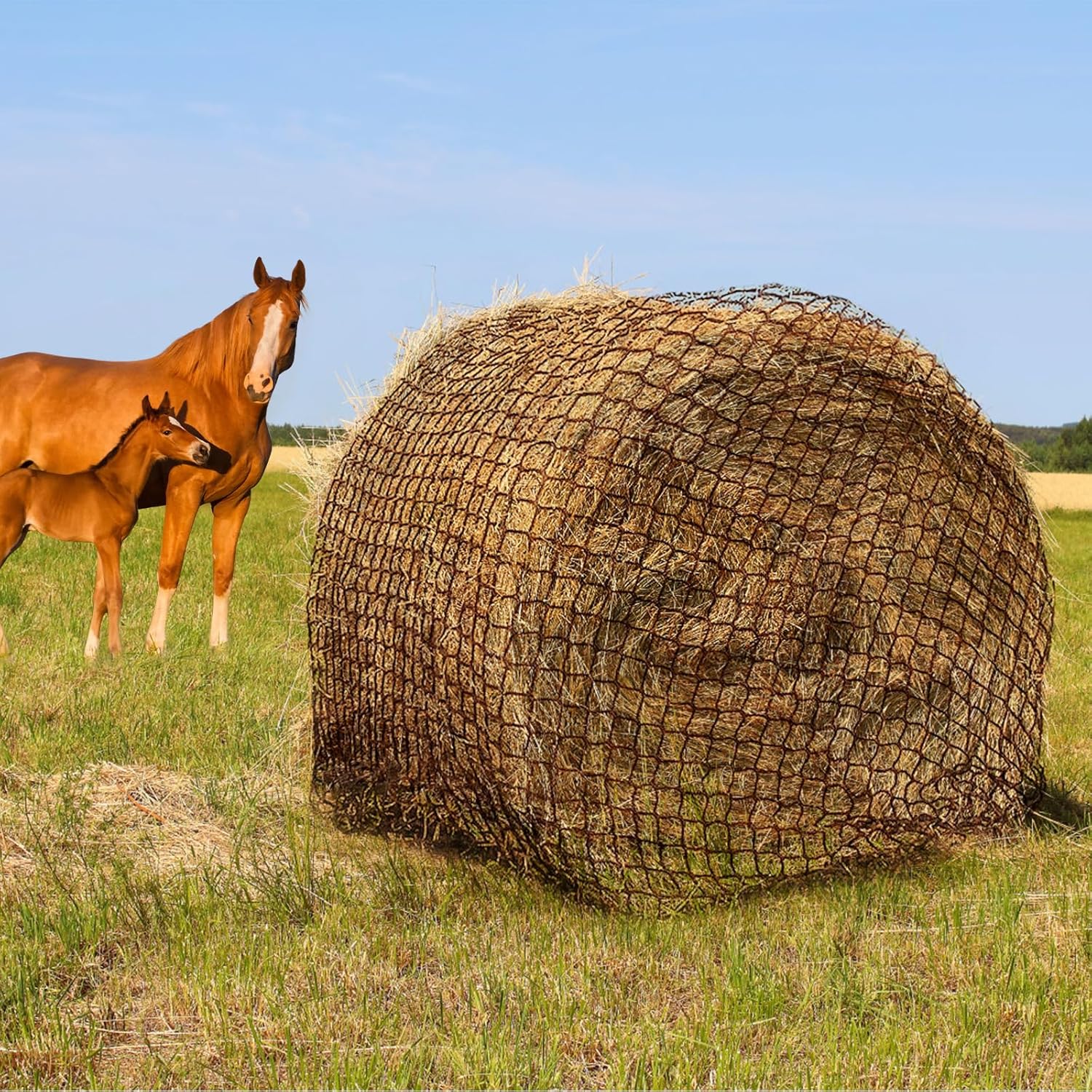 Efficient 5x5 ft Round Bale Hay Net for Horses & Livestock