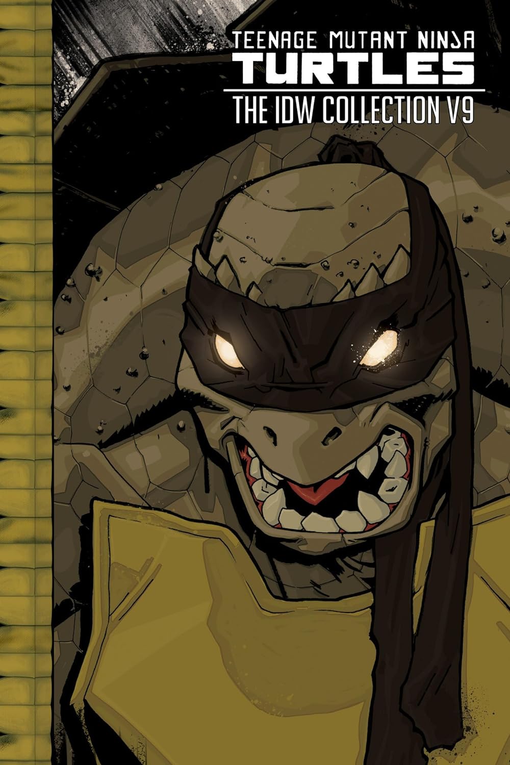 Teenage Mutant Ninja Turtles: The IDW Collection Volume 9 Review