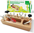 Montessori Screwdriver Board: Fine Motor Skills Marvel