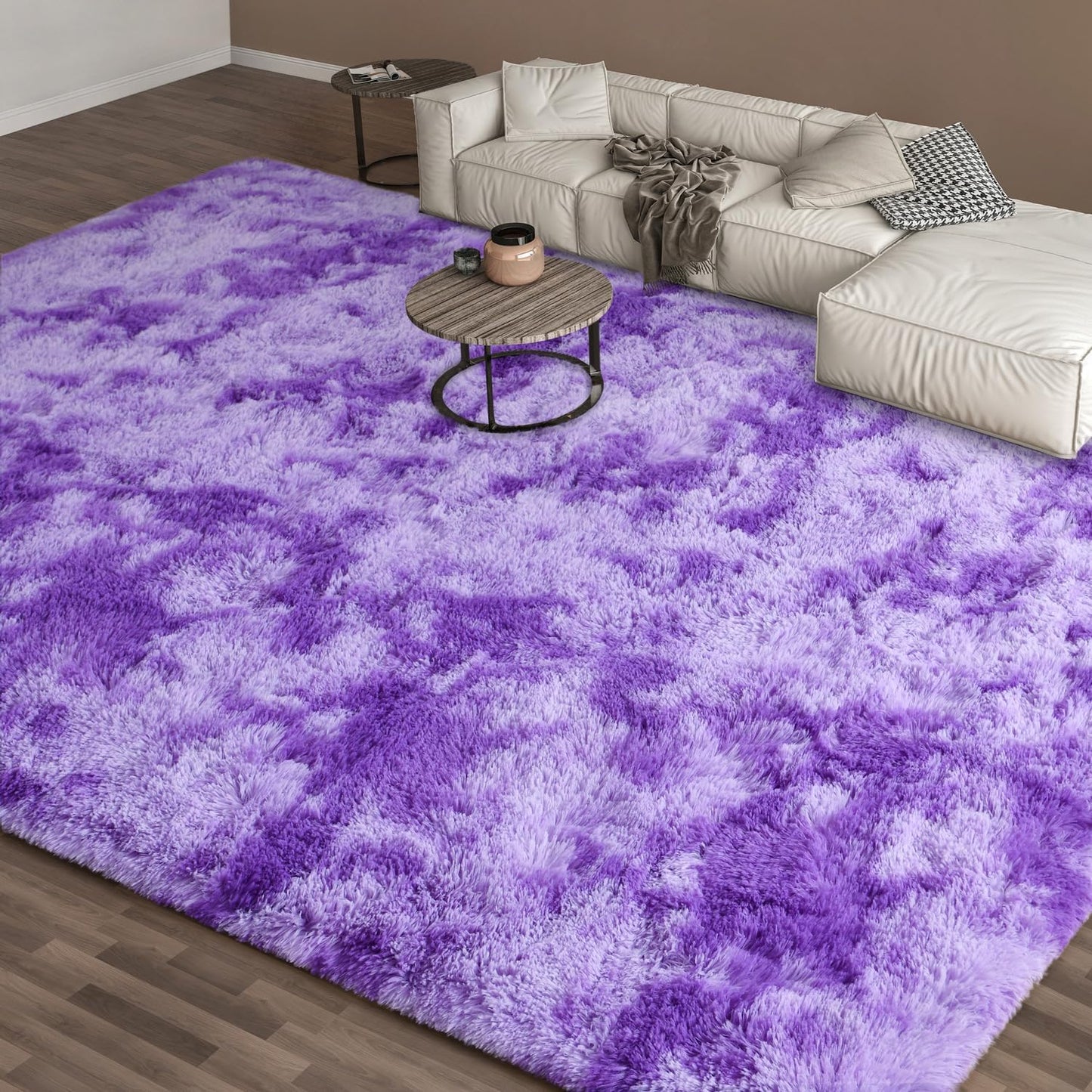 EVOIONOS 6x9 Fluffy Shag Area Rug for Living Room Bedroom