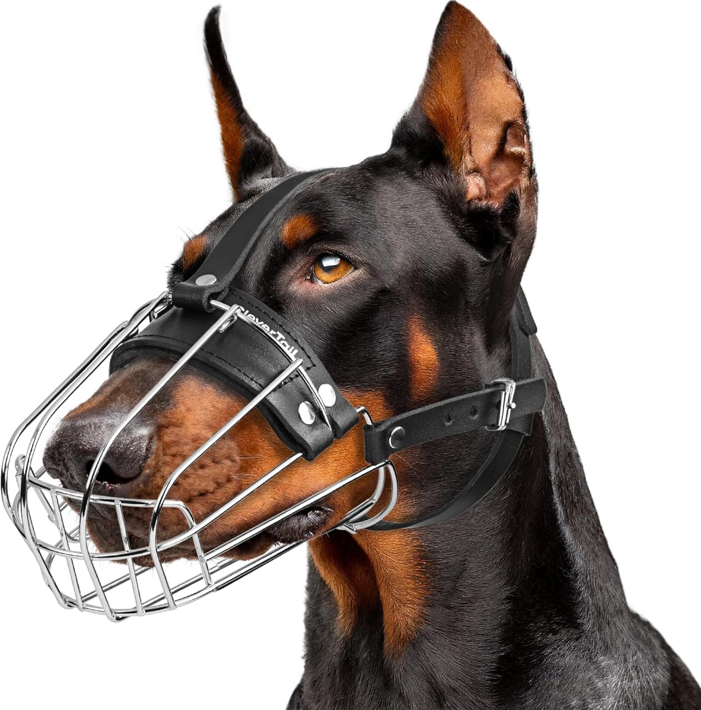 Metal Doberman Muzzle for Large Dogs - Safe and Comfortable Fit