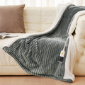 Heated Blanket 50x60 - Cozy Flannel Electric Throw with 9 Levels