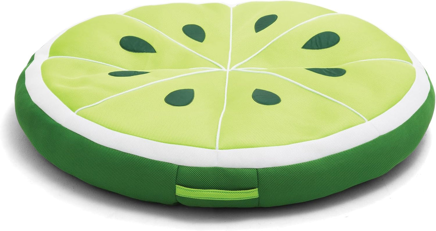 Big Joe Fruit Pool Floats for Ultimate Summer Fun and Relaxation