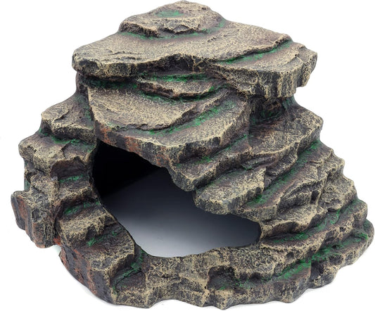 Extra Large Bearded Dragon Tank Accessories for Natural Habitat