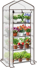 Mini Greenhouse for Indoor Outdoor - 4-Tier Small Green House Kit