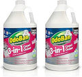 3-in-1 Carpet Cleaner 2-Gallon Set - Concentrate for Heavy Traffic