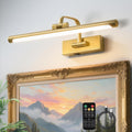 Picture Light for Wall 16 in Rechargeable Battery Art Light - Dimmable