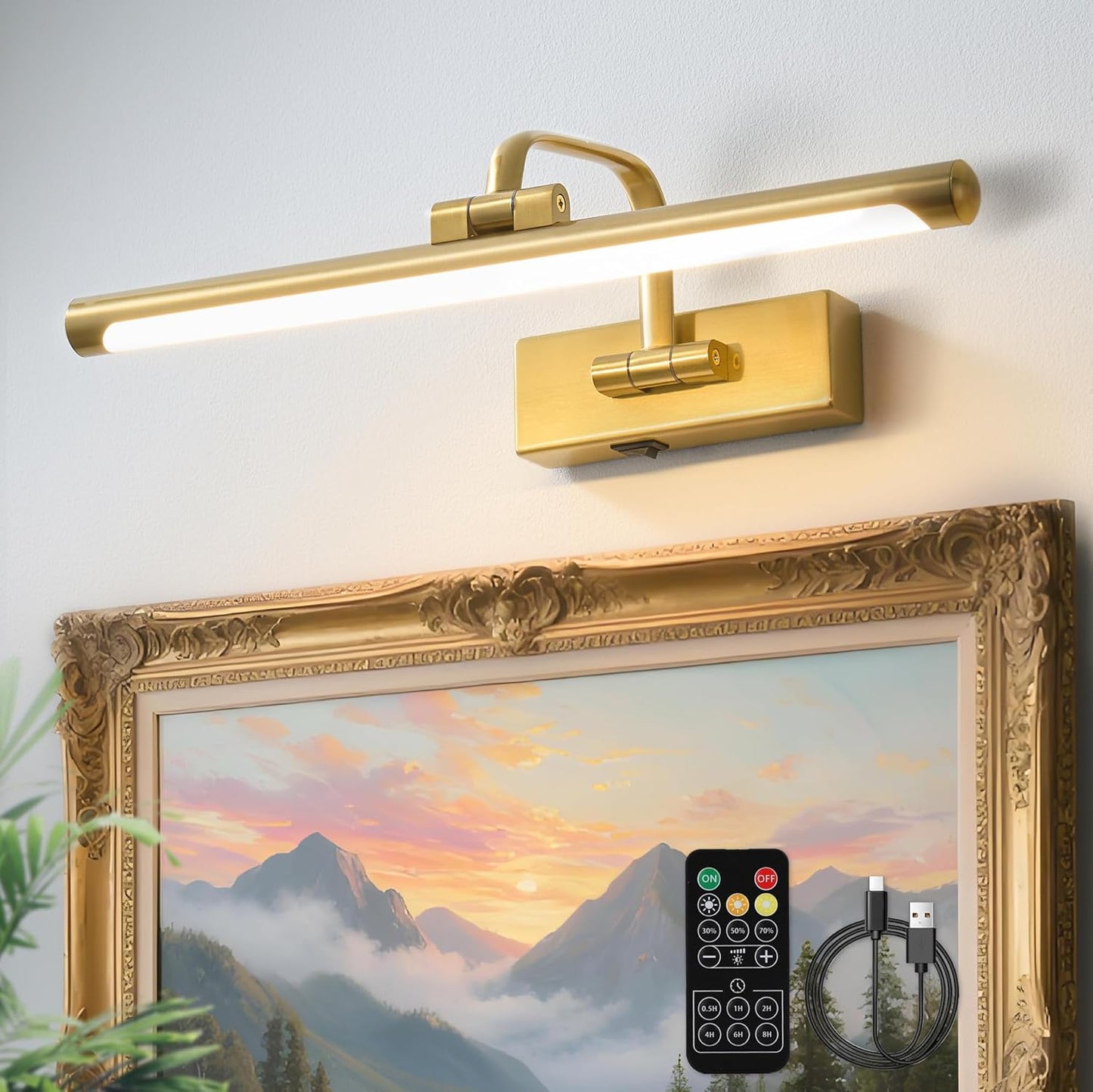 Rechargeable 16 inch Picture Light for Wall with Remote Control
