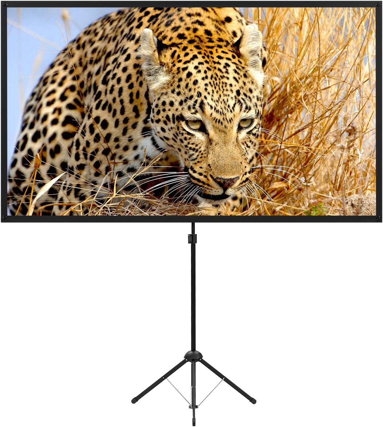 80 Portable Outdoor Movie Screen by excelimage