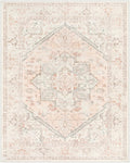 LIVEBOX Pink 10x14 Area Rug - Soft Vintage Non Slip Carpet