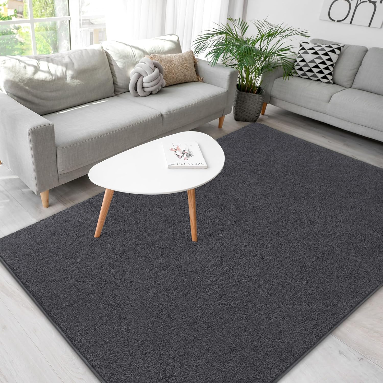 Soft Rugs for Living Room 5x7 Dark Grey, Minimalist Area Rug