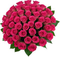 50 Hot Pink Roses Bouquet - Bulk Fresh Roses for Gifts