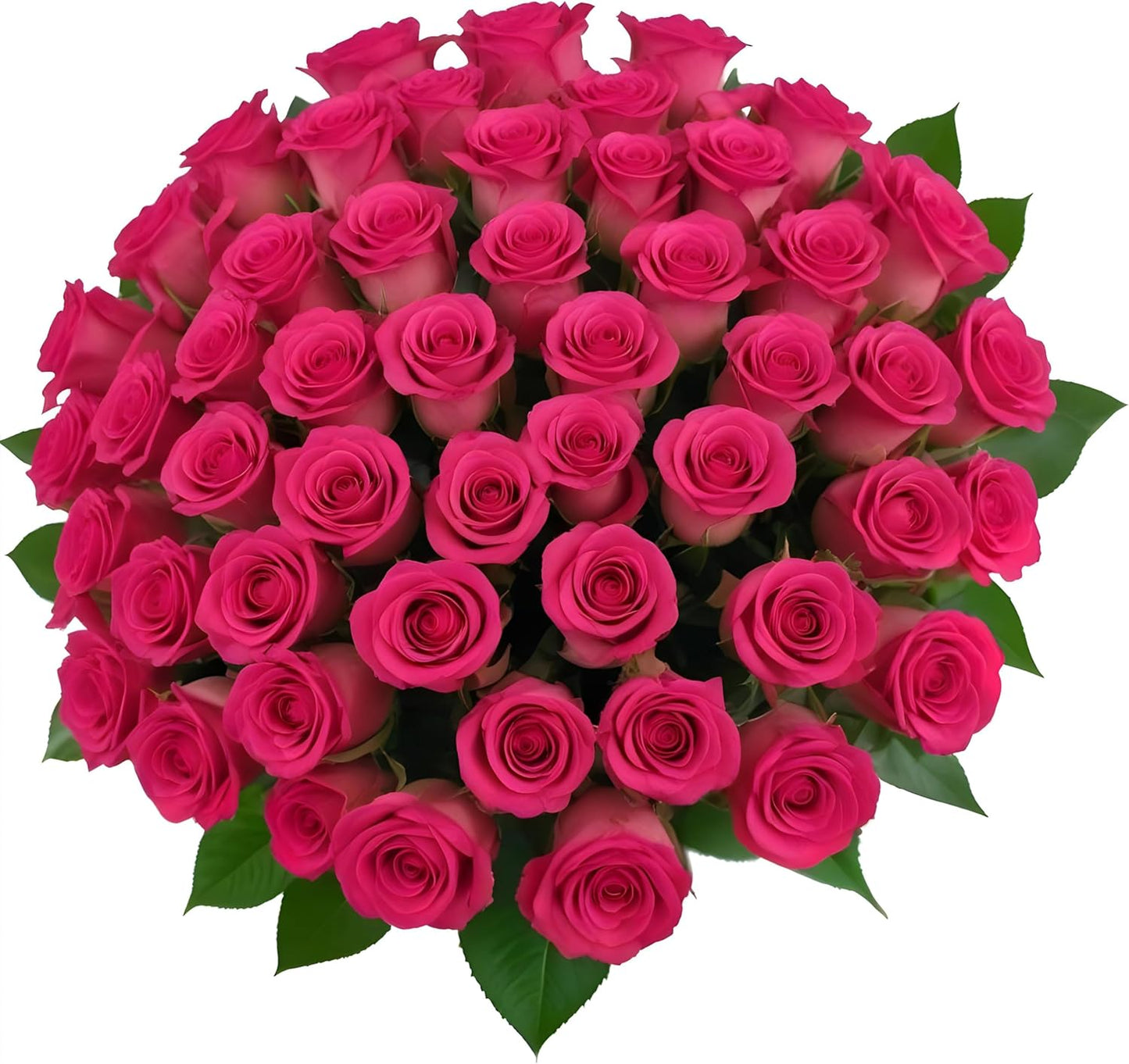 50 Hot Pink Roses for Delivery | Fresh Flowers for Any Occasion