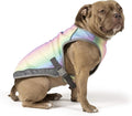 Chill Seeker Dog Cooling Vest for Hot Days - Canada Pooch