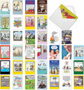 Variety Pack of 36 Assorted Funny Birthday Greeting Cards - Bulk Box
