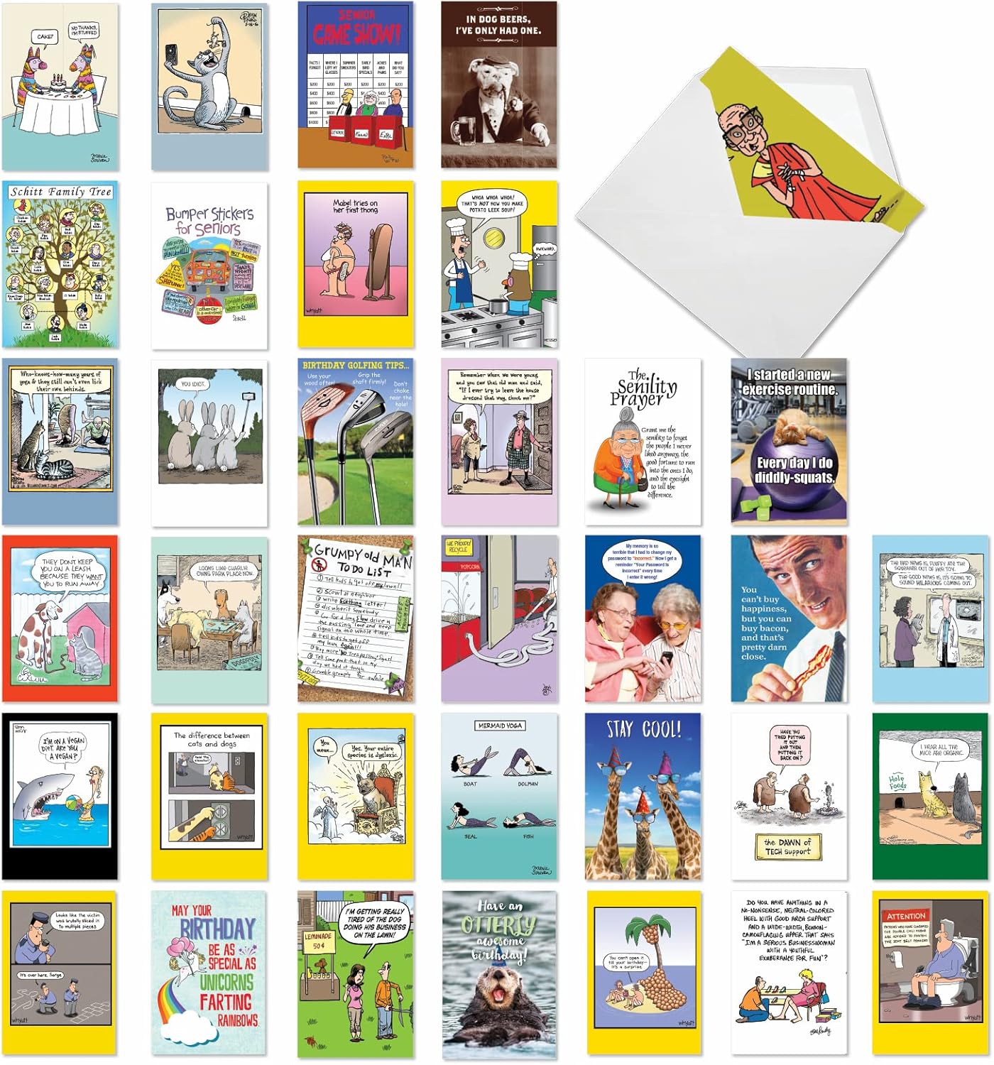 Funny Birthday Greeting Cards Variety Pack for All Occasions