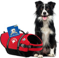 Dog Life Jacket Red Medium - Paws Aboard Swimming Vest