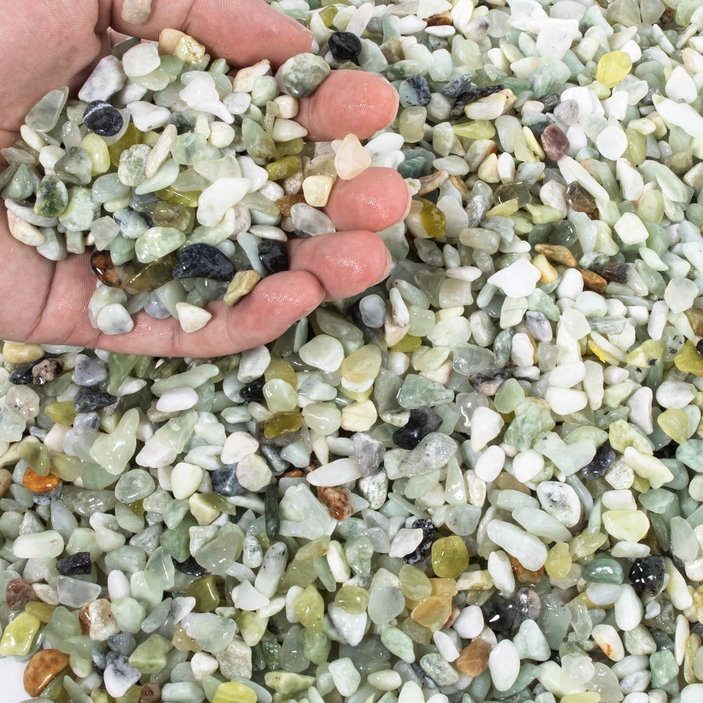 18lb Natural Gravel for Aquarium and Terrarium Plants