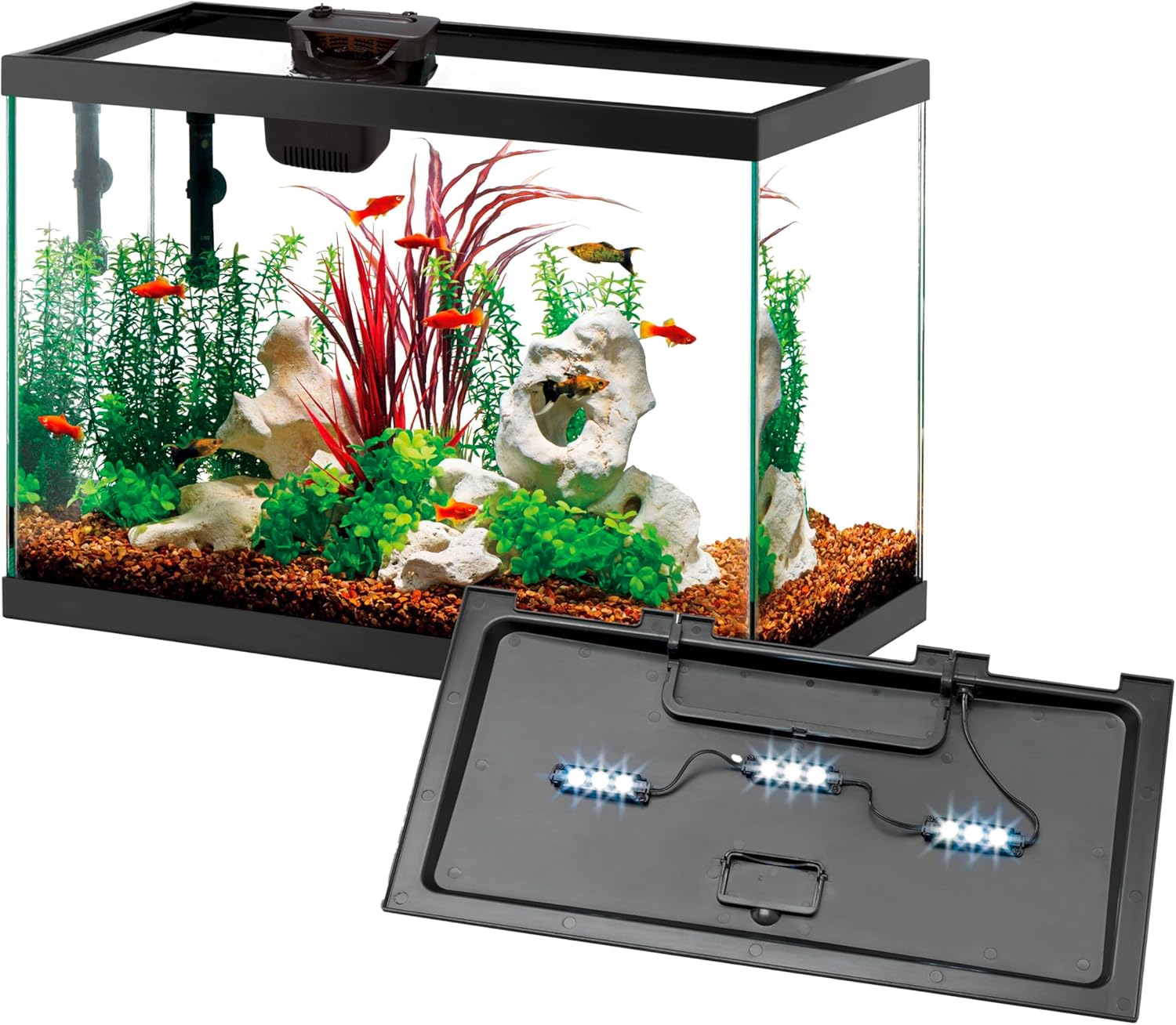 Aqueon 10 Gallon Aquarium Starter Kit for Tropical Fish Lovers