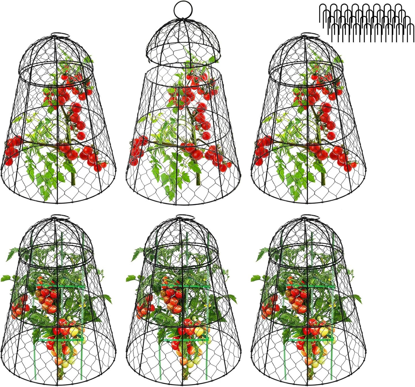Garden Cloches for Plants - Set of 6 Chicken Wire Cages
