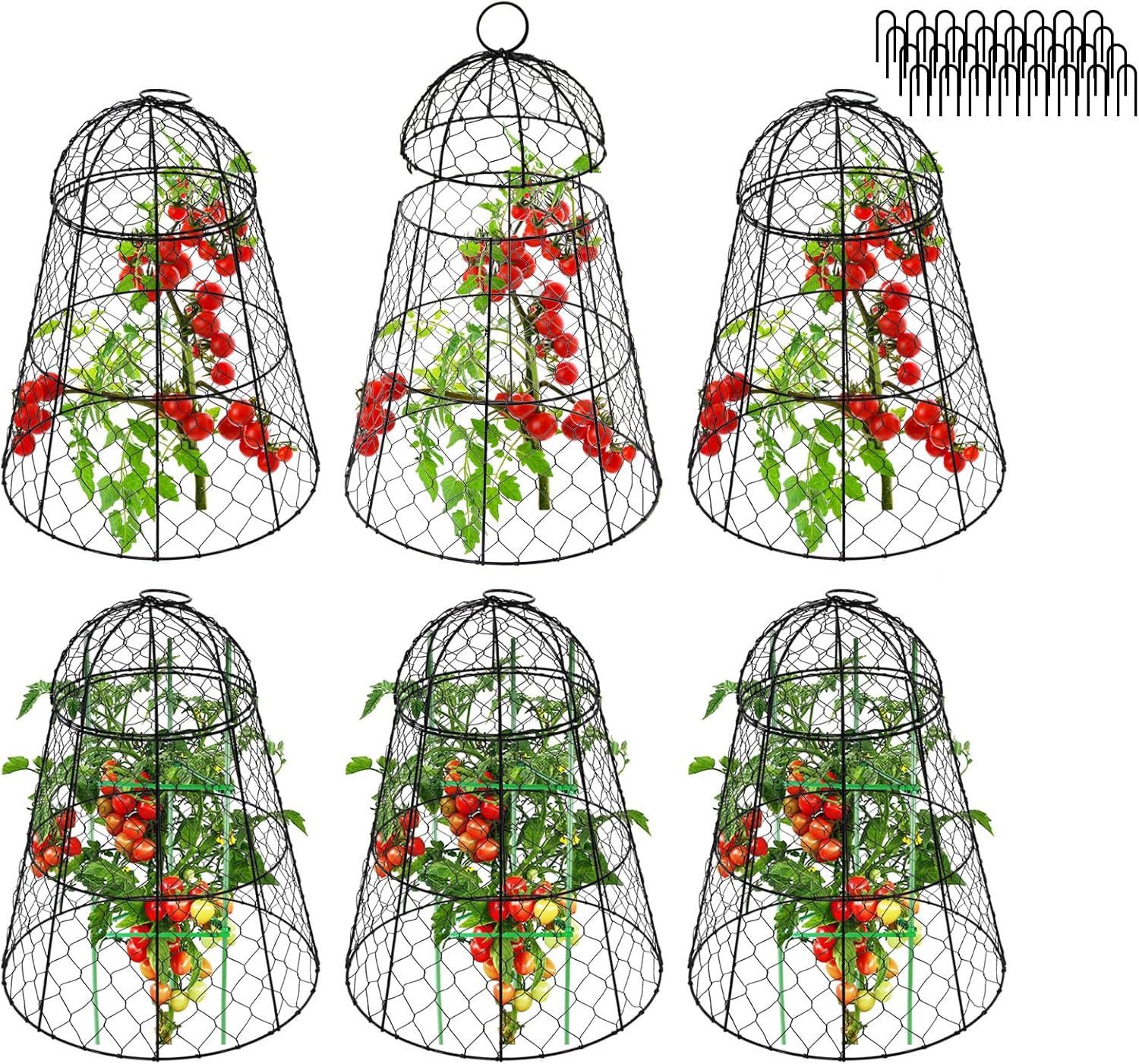 Garden Cloches for Plants - Set of 6 Chicken Wire Cages