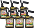 Spectracide Immunox Fungus Plus Insect Control For Lawns - Dual Action
